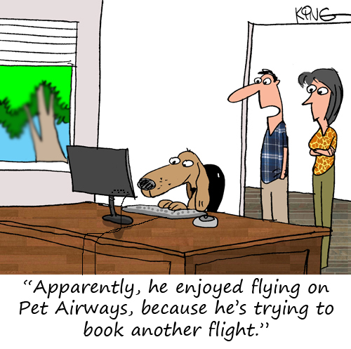 air travel dogs